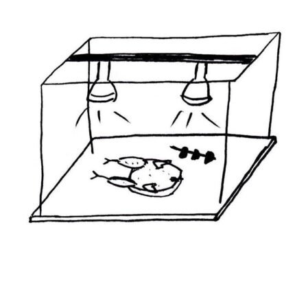 Βιτρίνα ψητών